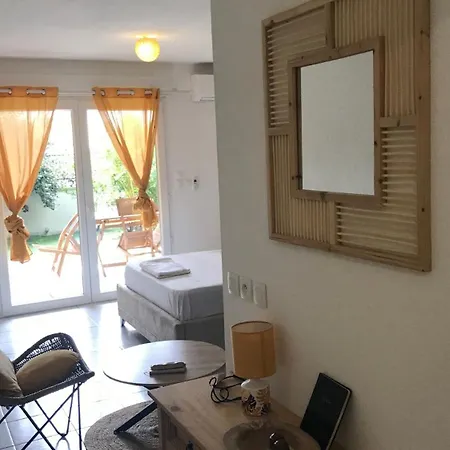 Apartment Grand T1 Bis Avec Jardin Expose Plein Sud Et Salle De Sport